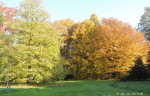 Arboretum Poortbulten
